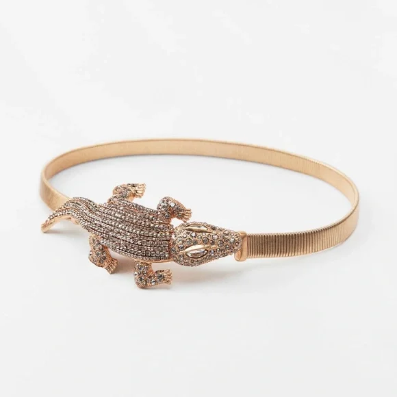 Zara | Accessories | Zara Limited Edition Metallic  display picture 3